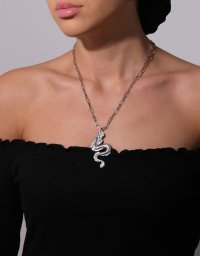 Цепь с кулоном DRAGON Silver